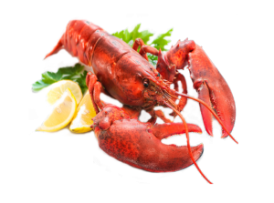 Lobster Seafood and More Restaurant Hudson Beach FL