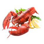 Lobster Seafood and More Restaurant Hudson Beach Florida