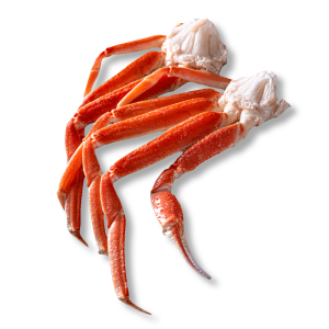 Snow-Crabs-Transparent